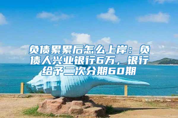 负债累累后怎么上岸：负债人兴业银行6万，银行给予二次分期60期