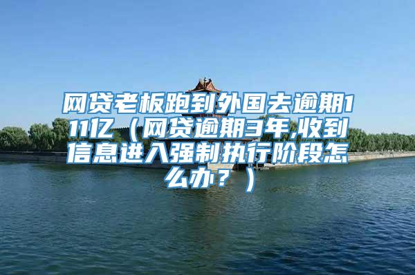 网贷老板跑到外国去逾期111亿（网贷逾期3年,收到信息进入强制执行阶段怎么办？）