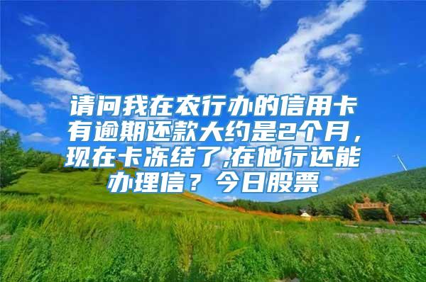 请问我在农行办的信用卡有逾期还款大约是2个月，现在卡冻结了,在他行还能办理信？今日股票