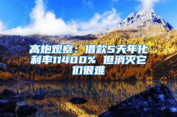 高炮观察：借款5天年化利率11400% 但消灭它们很难