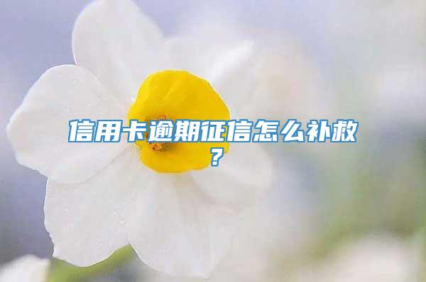 信用卡逾期征信怎么补救？