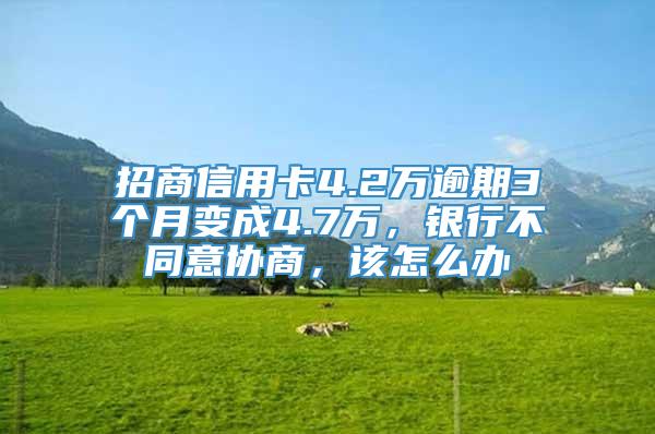 招商信用卡4.2万逾期3个月变成4.7万，银行不同意协商，该怎么办