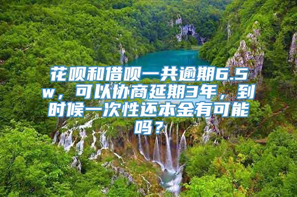 花呗和借呗一共逾期6.5w，可以协商延期3年，到时候一次性还本金有可能吗？