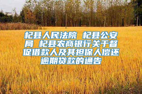 杞县人民法院 杞县公安局 杞县农商银行关于督促借款人及其担保人偿还逾期贷款的通告