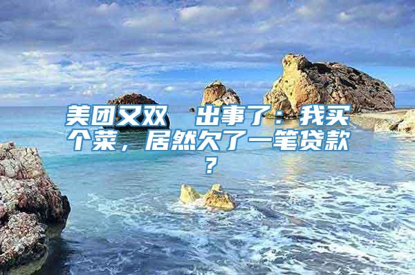 美团又双叒叕出事了：我买个菜，居然欠了一笔贷款？