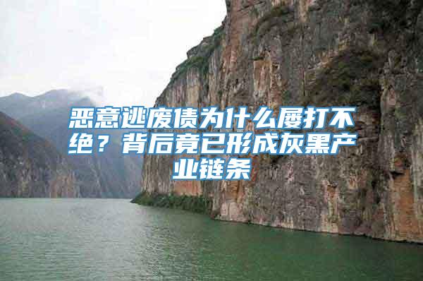 恶意逃废债为什么屡打不绝？背后竟已形成灰黑产业链条