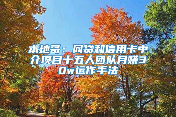 本地哥：网贷和信用卡中介项目十五人团队月赚30w运作手法