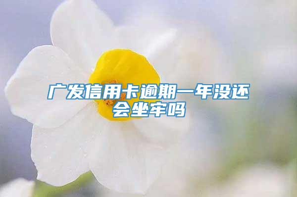 广发信用卡逾期一年没还会坐牢吗