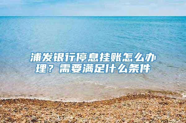 浦发银行停息挂账怎么办理？需要满足什么条件