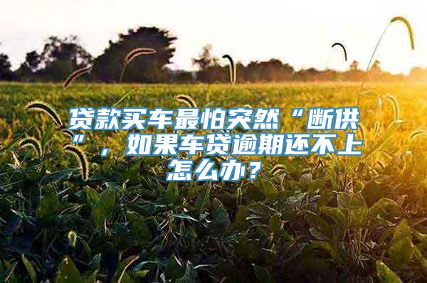 贷款买车最怕突然“断供”，如果车贷逾期还不上怎么办？