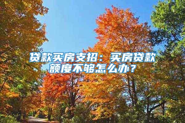 贷款买房支招：买房贷款额度不够怎么办？