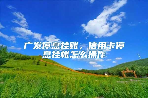 广发停息挂账，信用卡停息挂帐怎么操作