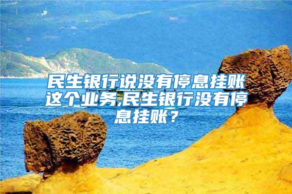 民生银行说没有停息挂账这个业务,民生银行没有停息挂账？