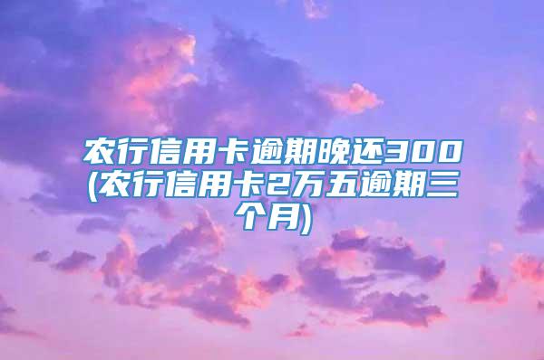 农行信用卡逾期晚还300(农行信用卡2万五逾期三个月)