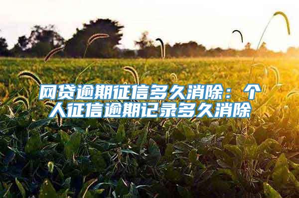 网贷逾期征信多久消除：个人征信逾期记录多久消除