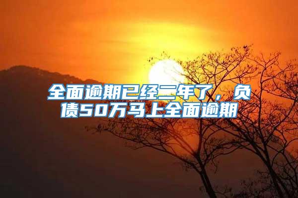 全面逾期已经二年了，负债50万马上全面逾期