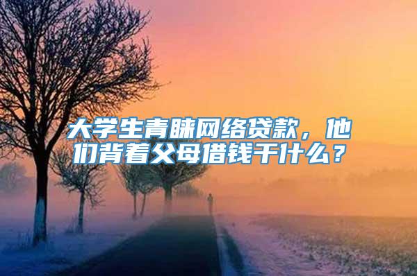 大学生青睐网络贷款，他们背着父母借钱干什么？