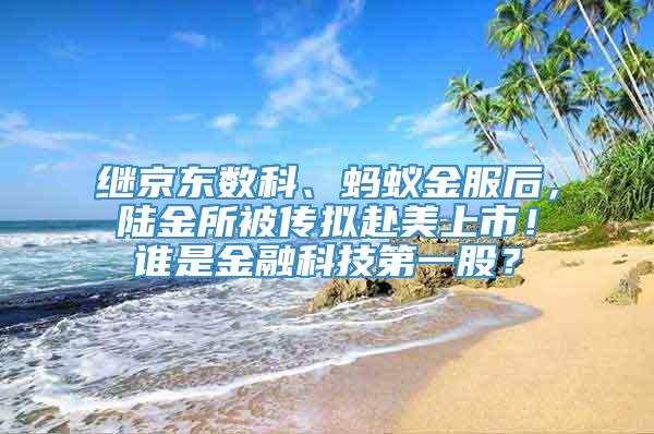 继京东数科、蚂蚁金服后，陆金所被传拟赴美上市！谁是金融科技第一股？