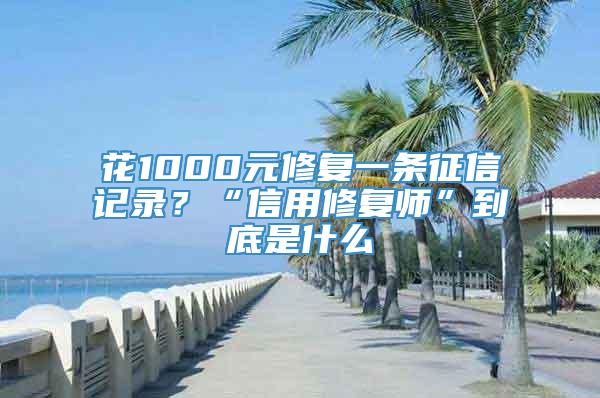 花1000元修复一条征信记录？“信用修复师”到底是什么