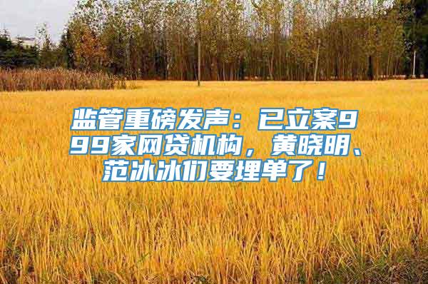 监管重磅发声：已立案999家网贷机构，黄晓明、范冰冰们要埋单了！