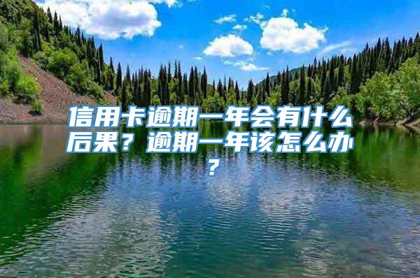 信用卡逾期一年会有什么后果？逾期一年该怎么办？