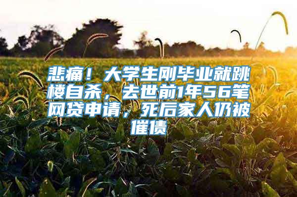 悲痛！大学生刚毕业就跳楼自杀，去世前1年56笔网贷申请，死后家人仍被催债