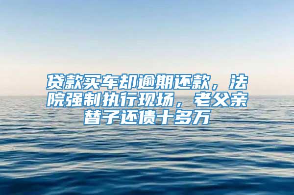 贷款买车却逾期还款，法院强制执行现场，老父亲替子还债十多万