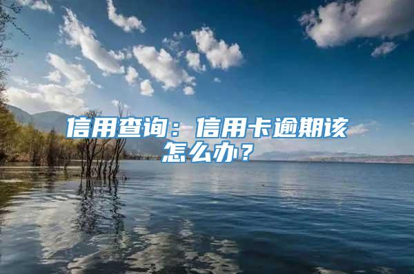 信用查询：信用卡逾期该怎么办？