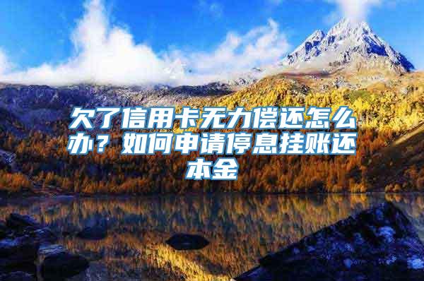 欠了信用卡无力偿还怎么办？如何申请停息挂账还本金