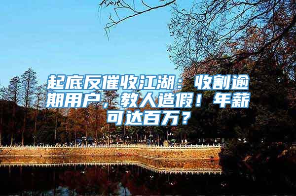 起底反催收江湖：收割逾期用户，教人造假！年薪可达百万？