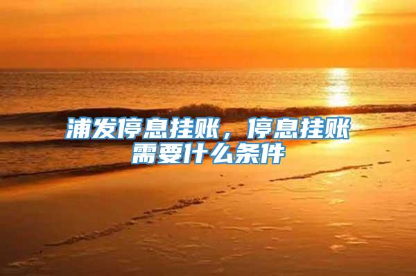 浦发停息挂账，停息挂账需要什么条件