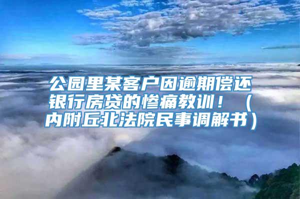 公园里某客户因逾期偿还银行房贷的惨痛教训！（内附丘北法院民事调解书）