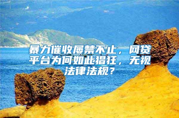 暴力催收屡禁不止，网贷平台为何如此猖狂，无视法律法规？