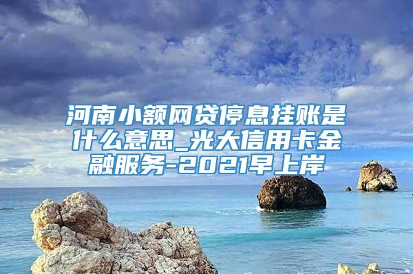 河南小额网贷停息挂账是什么意思_光大信用卡金融服务-2021早上岸