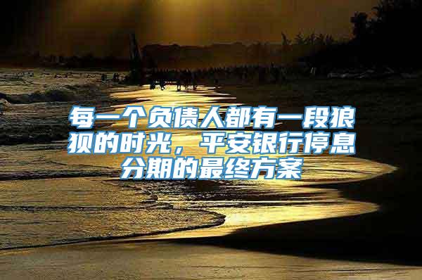 每一个负债人都有一段狼狈的时光，平安银行停息分期的最终方案