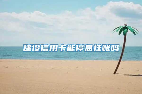建设信用卡能停息挂账吗