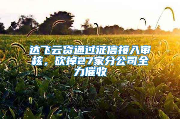 达飞云贷通过征信接入审核，砍掉27家分公司全力催收