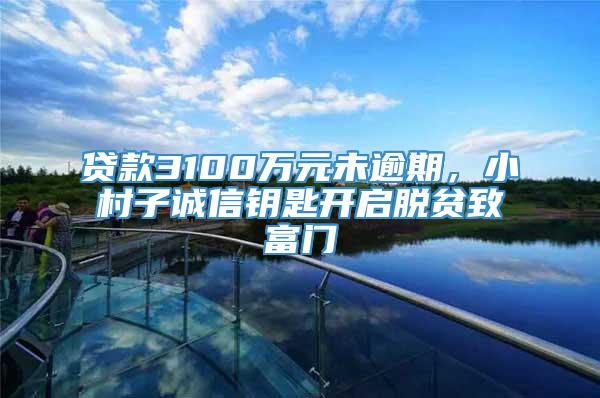 贷款3100万元未逾期，小村子诚信钥匙开启脱贫致富门