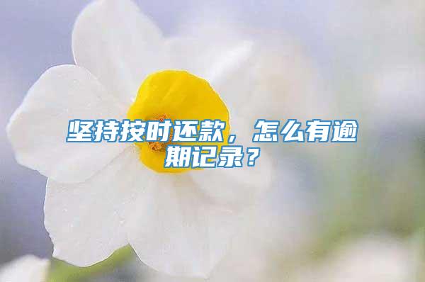 坚持按时还款，怎么有逾期记录？