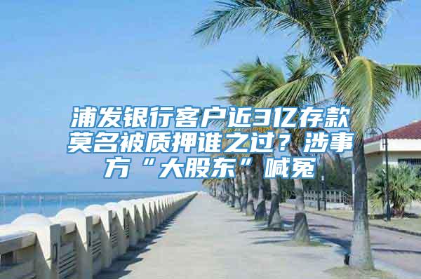 浦发银行客户近3亿存款莫名被质押谁之过？涉事方“大股东”喊冤