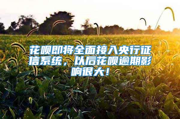 花呗即将全面接入央行征信系统，以后花呗逾期影响很大！