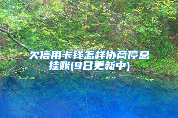 欠信用卡钱怎样协商停息挂账(9日更新中)