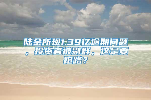 陆金所现1.39亿逾期问题，投资者被剔群，这是要跑路？