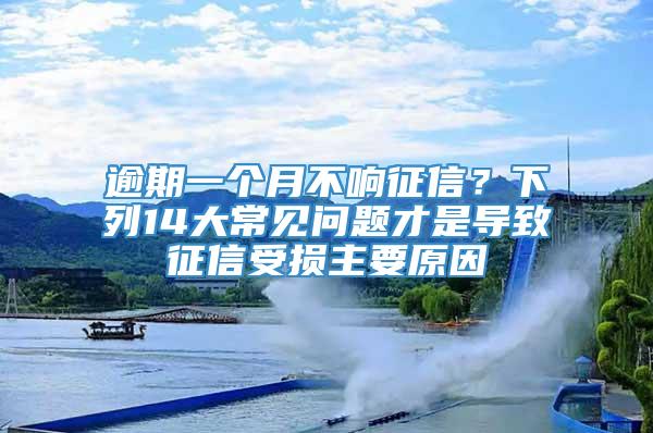 逾期一个月不响征信？下列14大常见问题才是导致征信受损主要原因