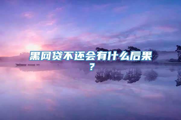 黑网贷不还会有什么后果？