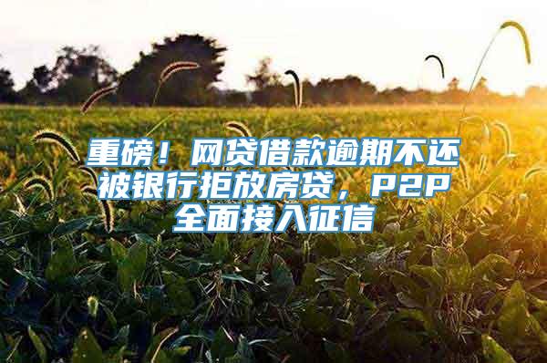 重磅！网贷借款逾期不还被银行拒放房贷，P2P全面接入征信