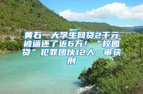 黄石一大学生网贷2千元被逼还了近6万！“校园贷”犯罪团伙12人一审获刑