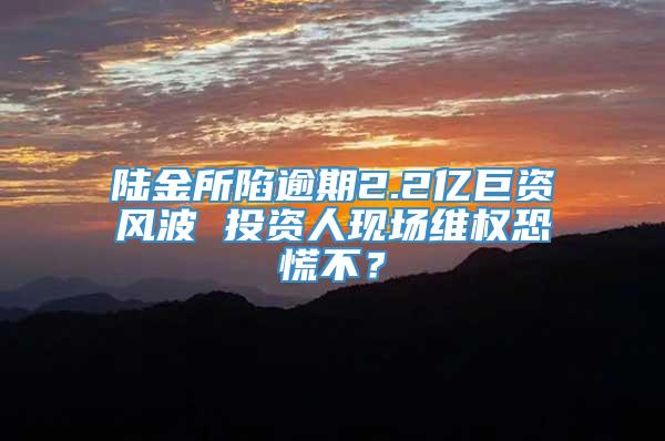 陆金所陷逾期2.2亿巨资风波 投资人现场维权恐慌不？