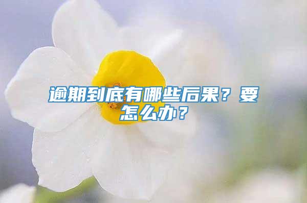 逾期到底有哪些后果？要怎么办？