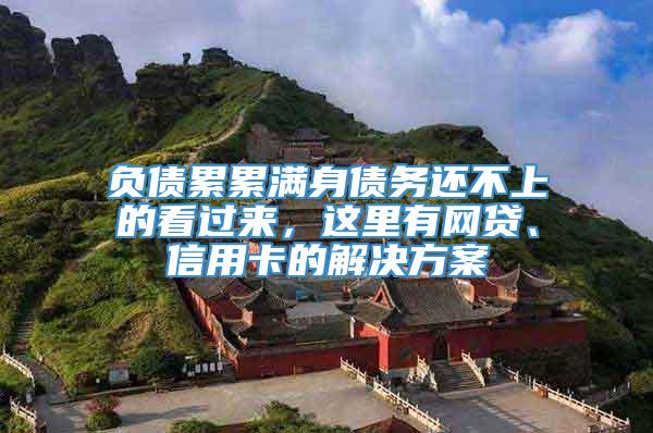 负债累累满身债务还不上的看过来，这里有网贷、信用卡的解决方案